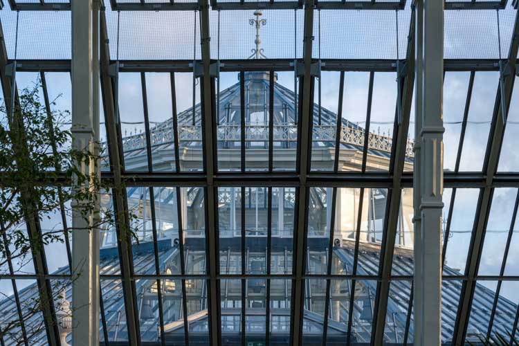 Temperate Glasshouse